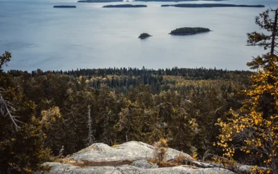 Verde-lehti: Kaivoslain uudistus ei riittävästi turvaa luonnon monimuotoisuutta eikä takaa riittäviä korvauksia kaivosvarauksista (14.9.2022)