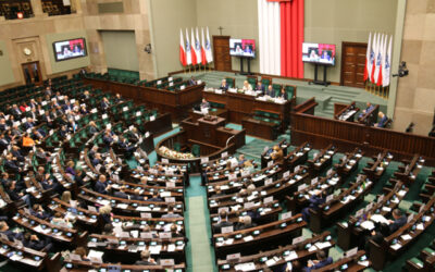 Puhe Euroopan neuvostossa – Promoting economic and environmental security amid the current crisis (25.11.2022)